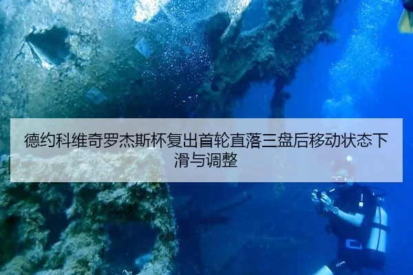 de-yue-ke-wei-qi-luo-jie-si-bei-fu-chu-shou-lun-zhi-luo-san-pan-hou-yi-dong-zhuang-tai-xia-hua-yu-tiao-zheng-3-334.jpg